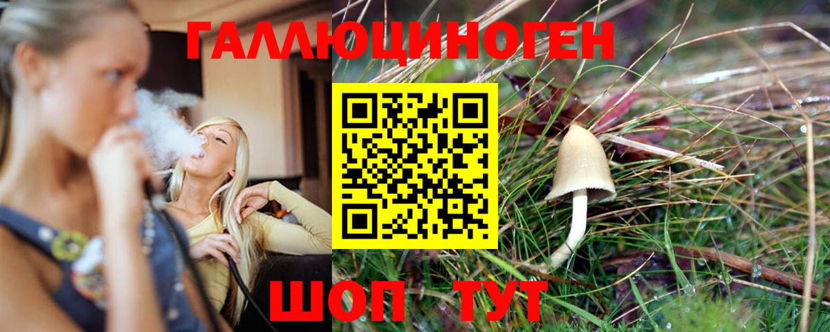 Галлюциногенные грибы GOLDEN TEACHER Октябрьский